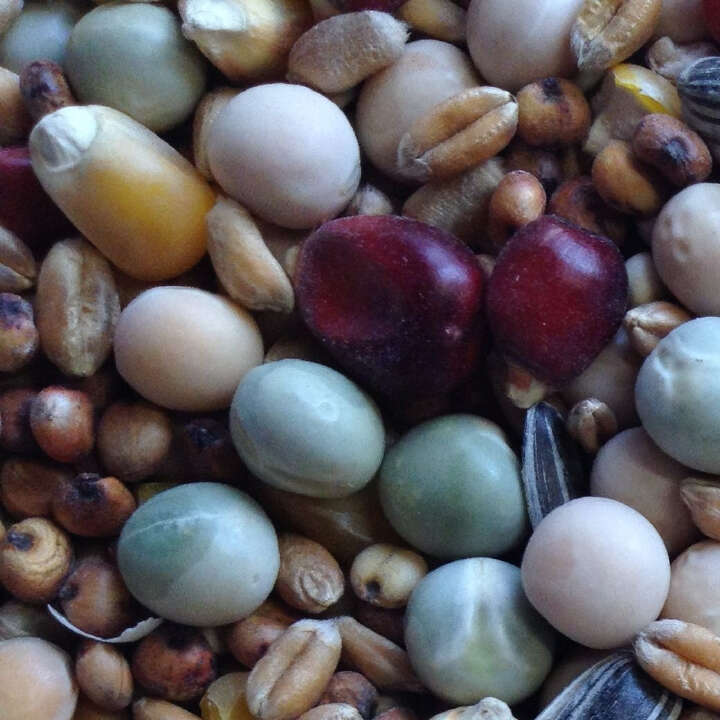 SPINNE Allzeitfutter EcoMix Zucht u. Reise 25 kg